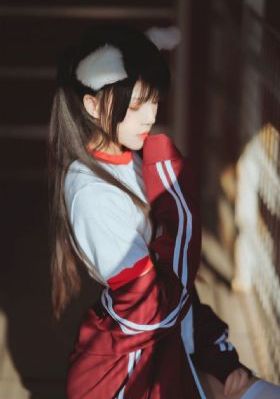 老师与流浪猫